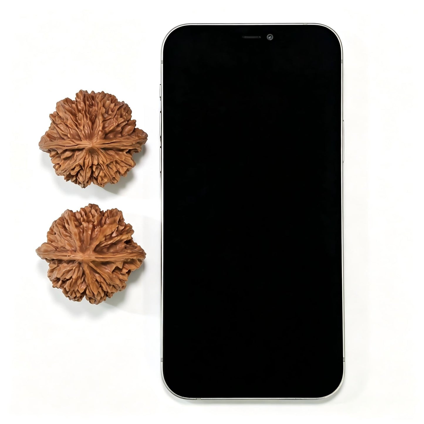 "Lantern Lionhead" Denglong Shizitou Classic Heritage Wenwan Walnuts Pair | 41.0mm x 39.0mm | DL-1501C - ThePatinaProject