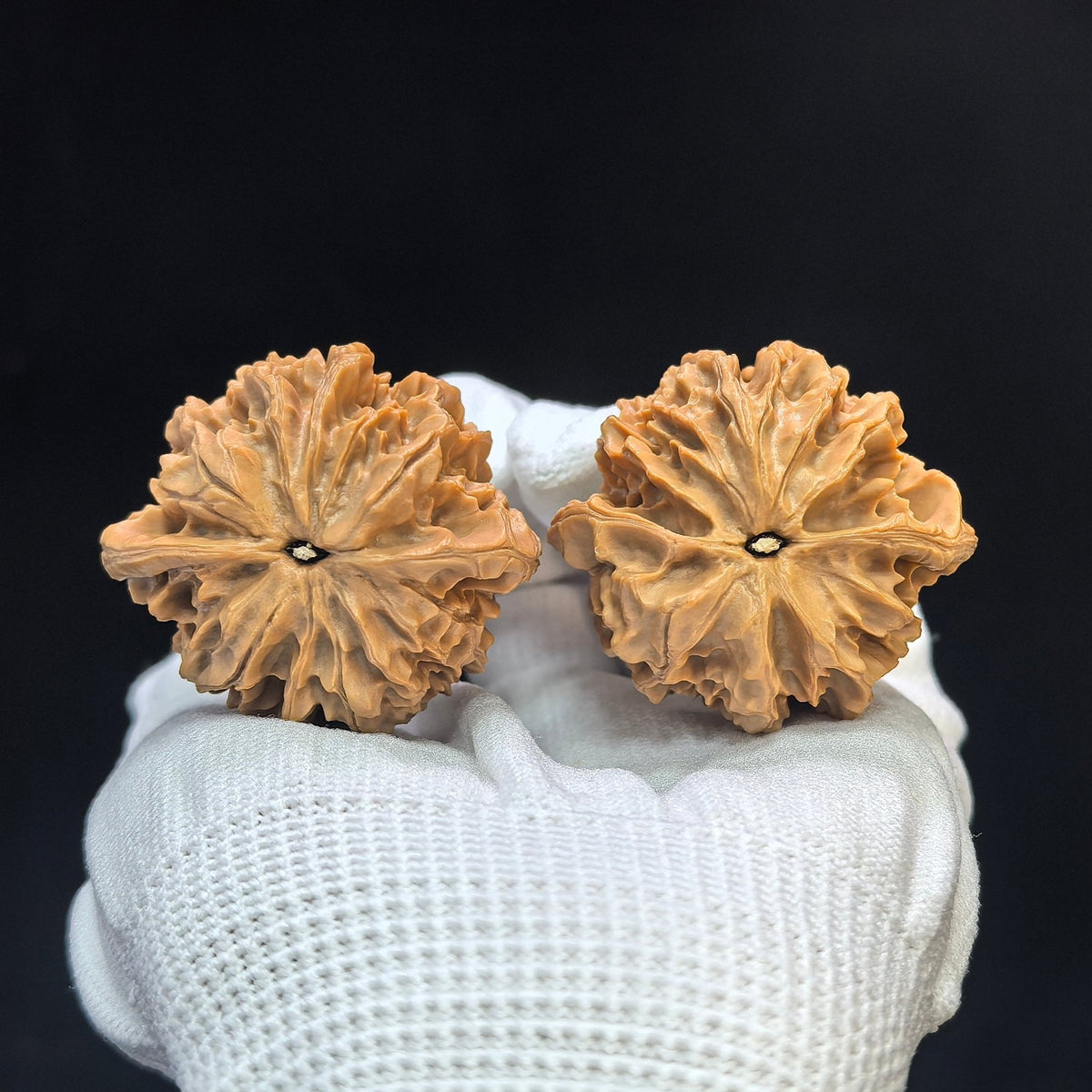 "Lantern Lionhead" Denglong Shizitou Classic Heritage Wenwan Walnuts Pair | 41.0mm x 39.0mm | DL-1501C - ThePatinaProject