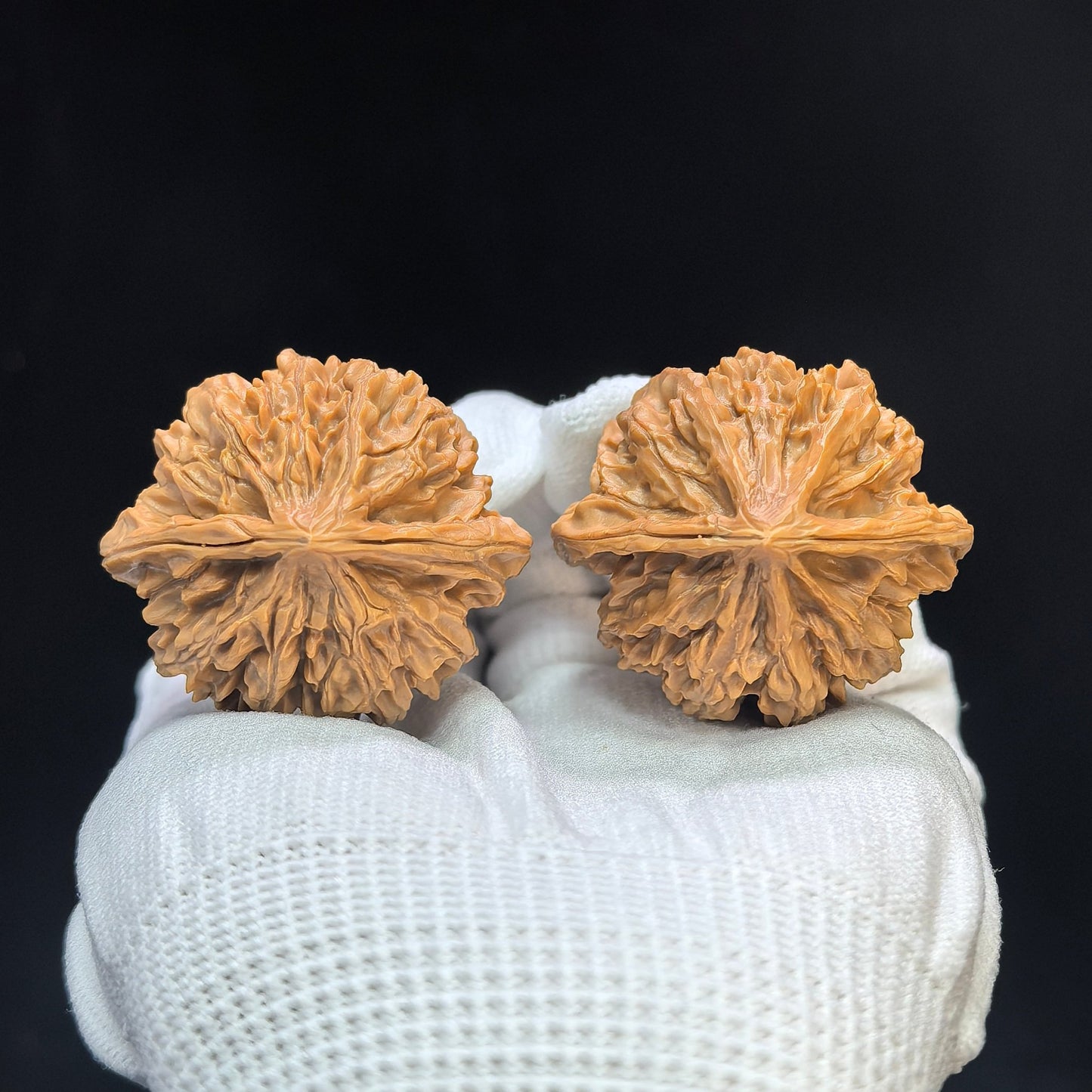 "Lantern Lionhead" Denglong Shizitou Classic Heritage Wenwan Walnuts Pair | 41.0mm x 39.0mm | DL-1501C - ThePatinaProject