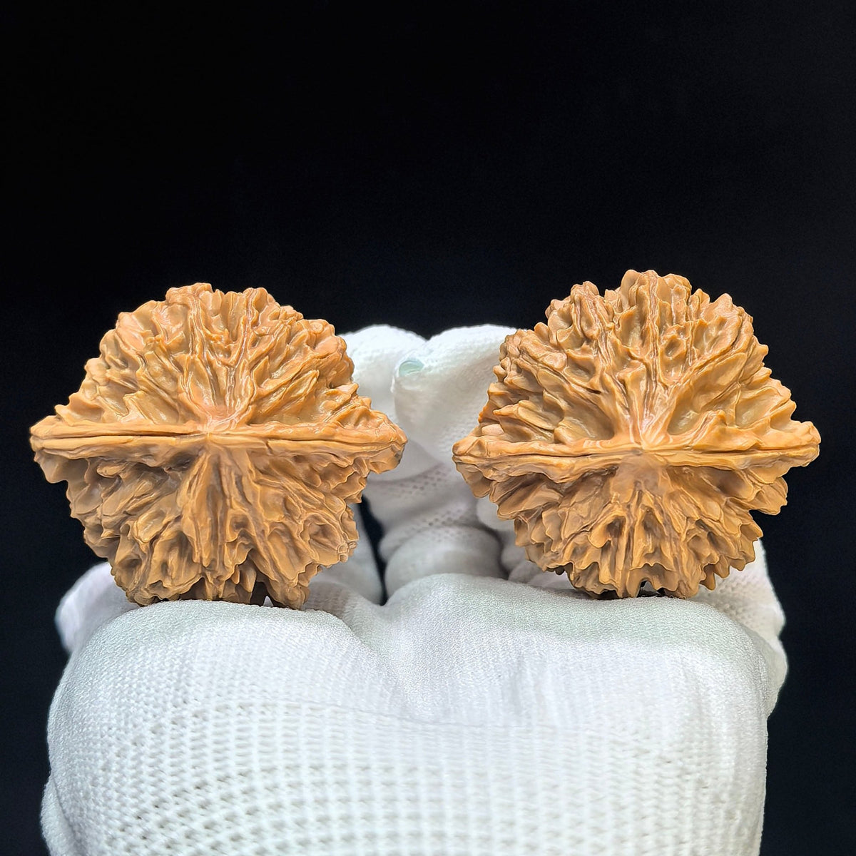"Lantern Lionhead" Denglong Shizitou Low-Profile Wenwan Walnuts Pair | 45.0mm x 42.0mm | DL-1502C - ThePatinaProject