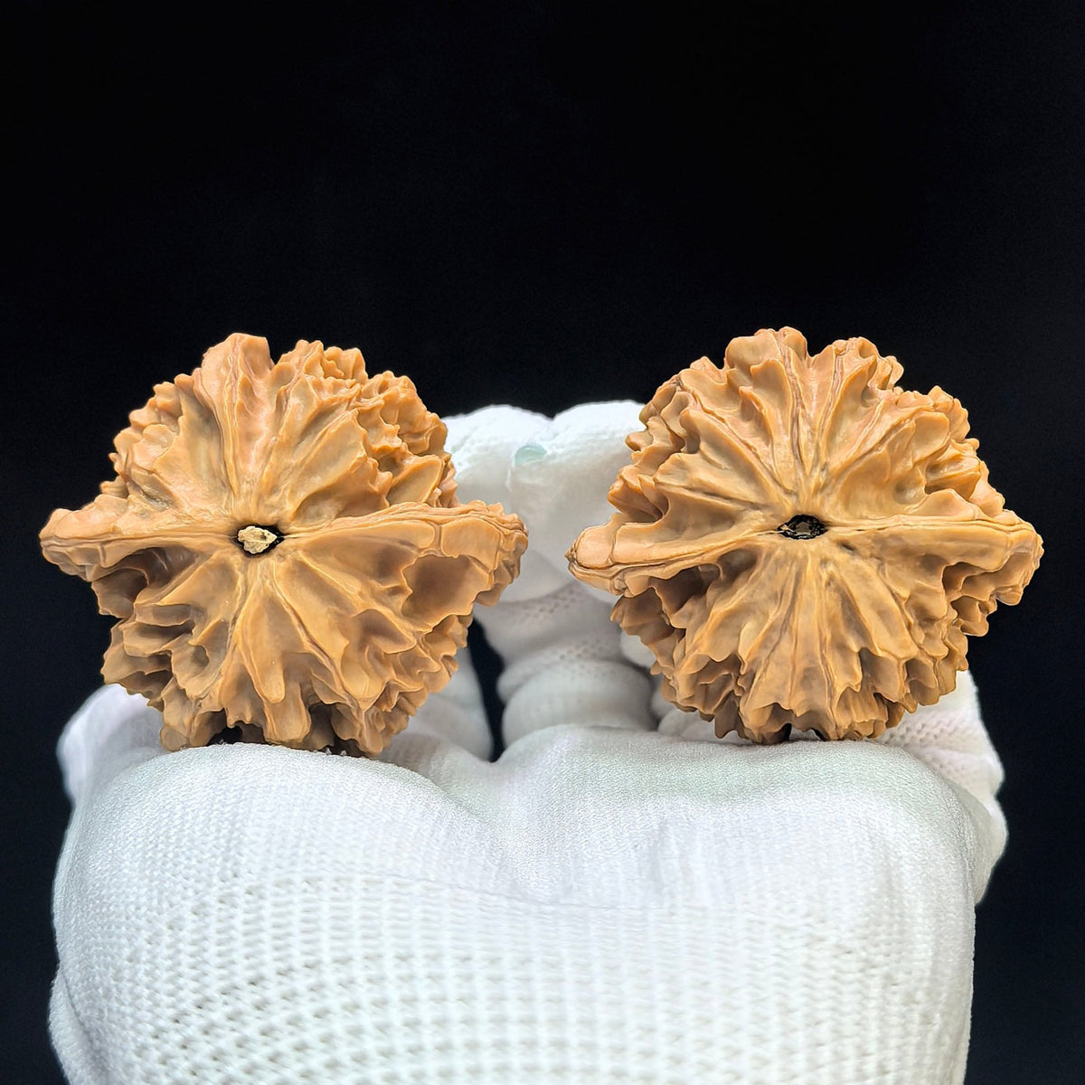 "Lantern Lionhead" Denglong Shizitou Low-Profile Wenwan Walnuts Pair | 45.0mm x 42.0mm | DL-1502C - ThePatinaProject