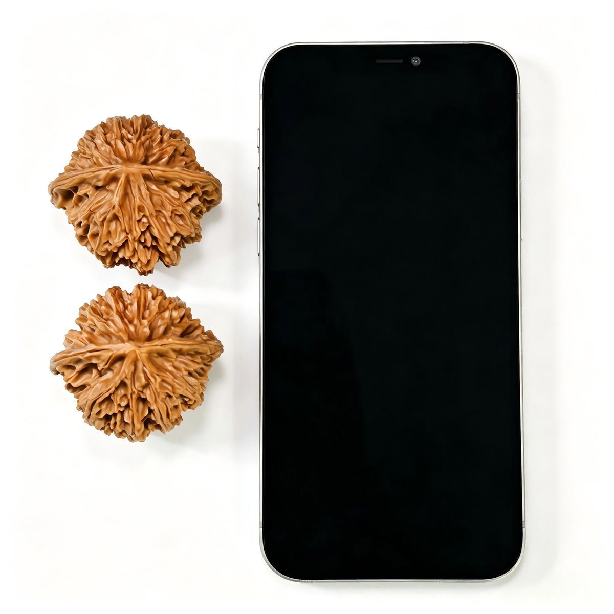 "Lantern Lionhead" Denglong Shizitou Low-Profile Wenwan Walnuts Pair | 45.0mm x 42.0mm | DL-1502C - ThePatinaProject