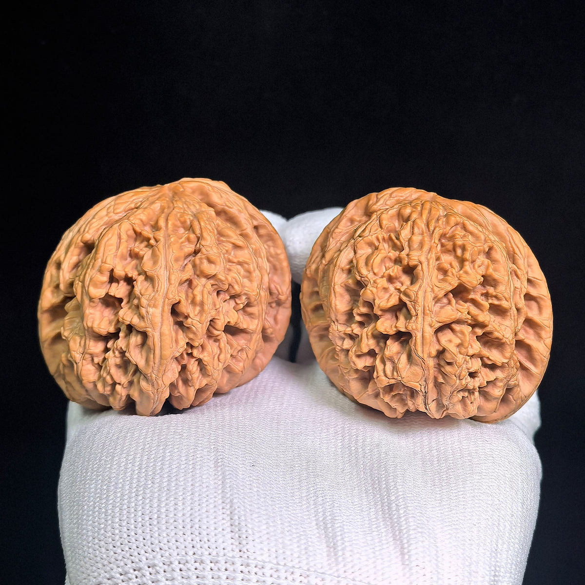 Large Dacujin Tiancanjiao Wenwan Walnuts Pair | Bold Coarse Ridge Texture | 51.0mm × 50.0mm | DCJTCJ-CWC6E - ThePatinaProject