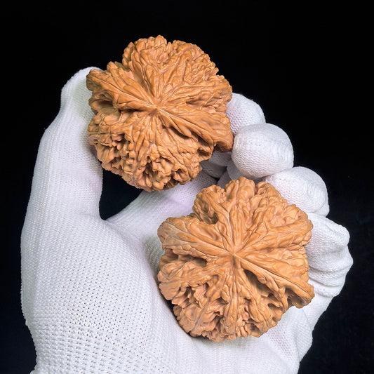 Large Dacujin Tiancanjiao Wenwan Walnuts Pair | Bold Coarse Ridge Texture | 51.0mm × 50.0mm | DCJTCJ-CWC6E - ThePatinaProject