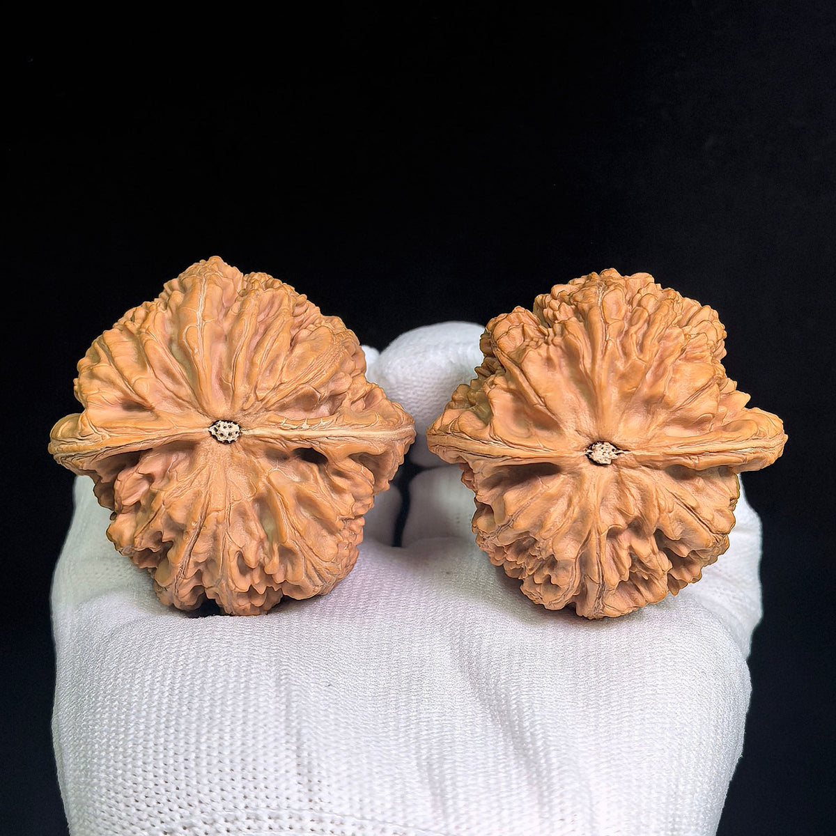 Large Dacujin Tiancanjiao Wenwan Walnuts Pair | Bold Coarse Ridge Texture | 51.0mm × 50.0mm | DCJTCJ-CWC6E - ThePatinaProject