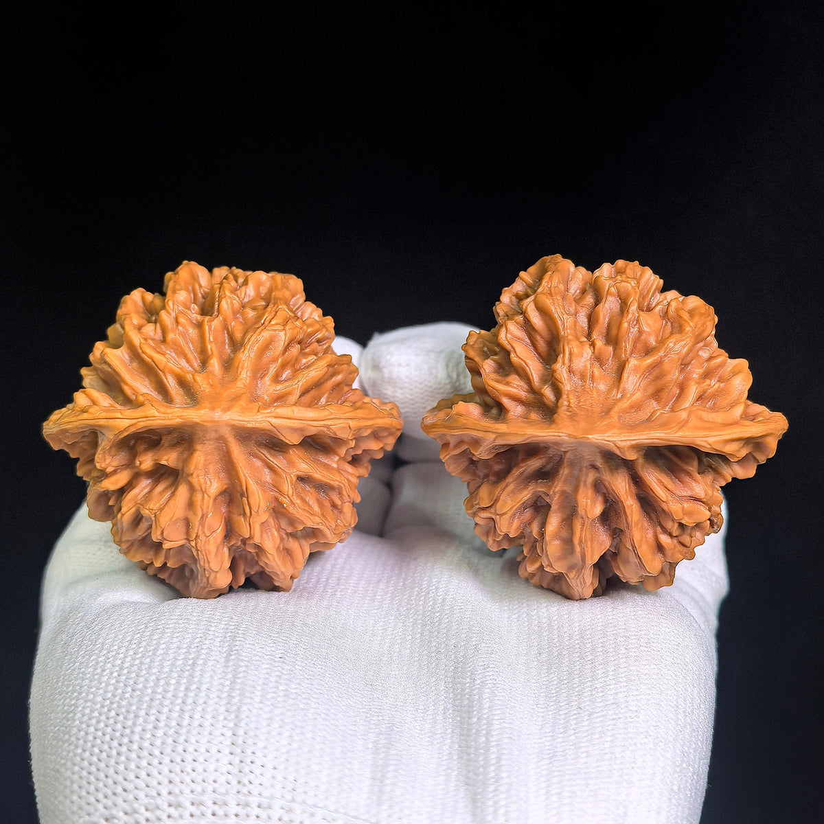 Large Dadiwang Tiancanjiao Wenwan Walnuts Pair | Natural Irregular Form | 50.0mm × 49.0mm | DWTCJ-CWC7E - ThePatinaProject