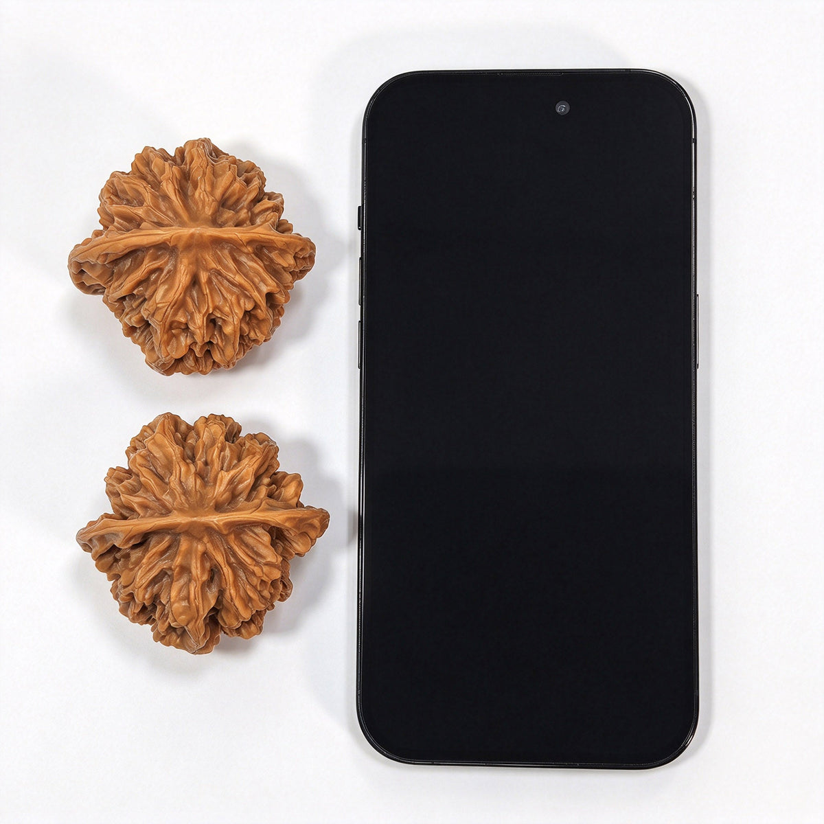 Large Dadiwang Tiancanjiao Wenwan Walnuts Pair | Natural Irregular Form | 50.0mm × 49.0mm | DWTCJ-CWC7E - ThePatinaProject