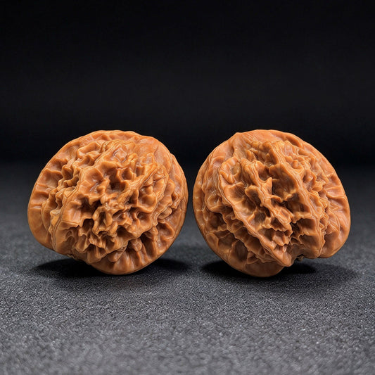 Large Dadiwang Tiancanjiao Wenwan Walnuts Pair | Natural Irregular Form | 50.0mm × 49.0mm | DWTCJ-CWC7E - ThePatinaProject