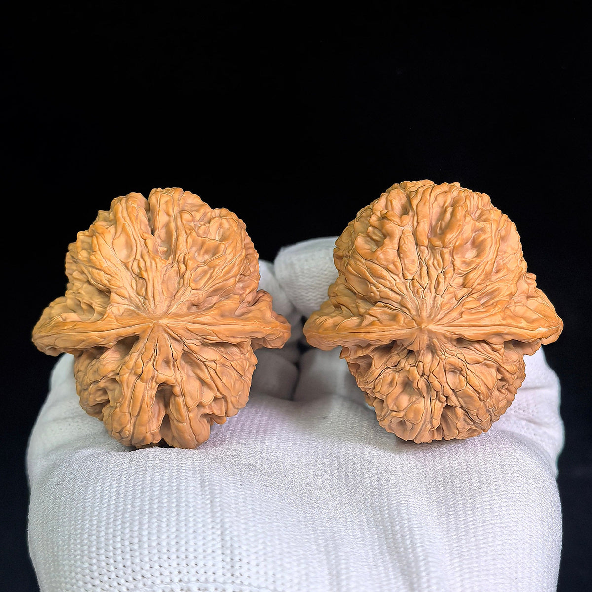 Large Huabei Jiangjunbang Tiancanjiao Wenwan Walnuts Pair | Broad Shoulder Form | 48.0mm × 46.0mm | HBJJB-CWC3E - ThePatinaProject