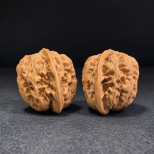 Large Huabei Jiangjunbang Tiancanjiao Wenwan Walnuts Pair | Broad Shoulder Form | 48.0mm × 46.0mm | HBJJB-CWC3E - ThePatinaProject