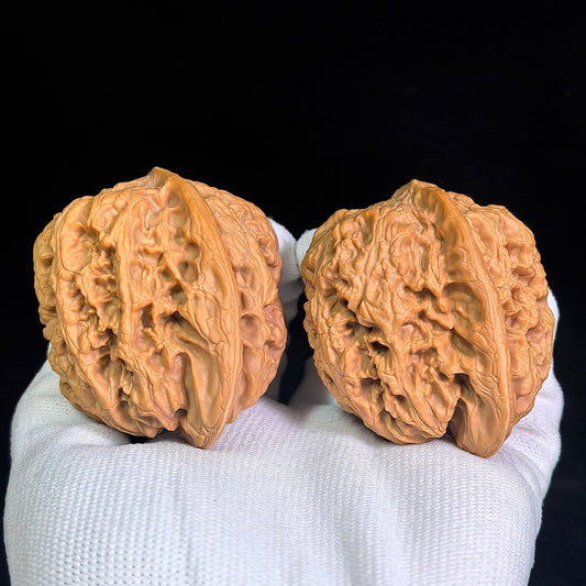 Large Huabei Jiangjunbang Tiancanjiao Wenwan Walnuts Pair | Broad Shoulder Form | 48.0mm × 46.0mm | HBJJB-CWC3E - ThePatinaProject