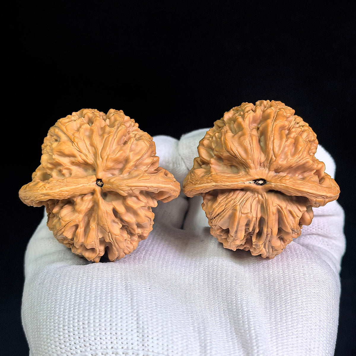 Large Huabei Jiangjunbang Tiancanjiao Wenwan Walnuts Pair | Broad Shoulder Form | 48.0mm × 46.0mm | HBJJB-CWC3E - ThePatinaProject