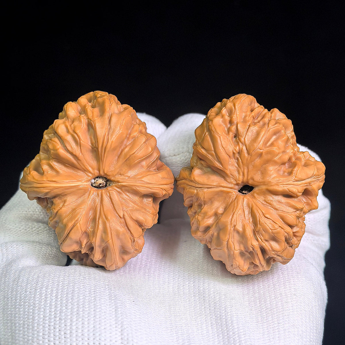 Large Ludagun Gongqiao Wenwan Walnuts Pair | Natural Bridge-Like Form | 43.0mm × 50.0mm | LDG-CWC5E - ThePatinaProject