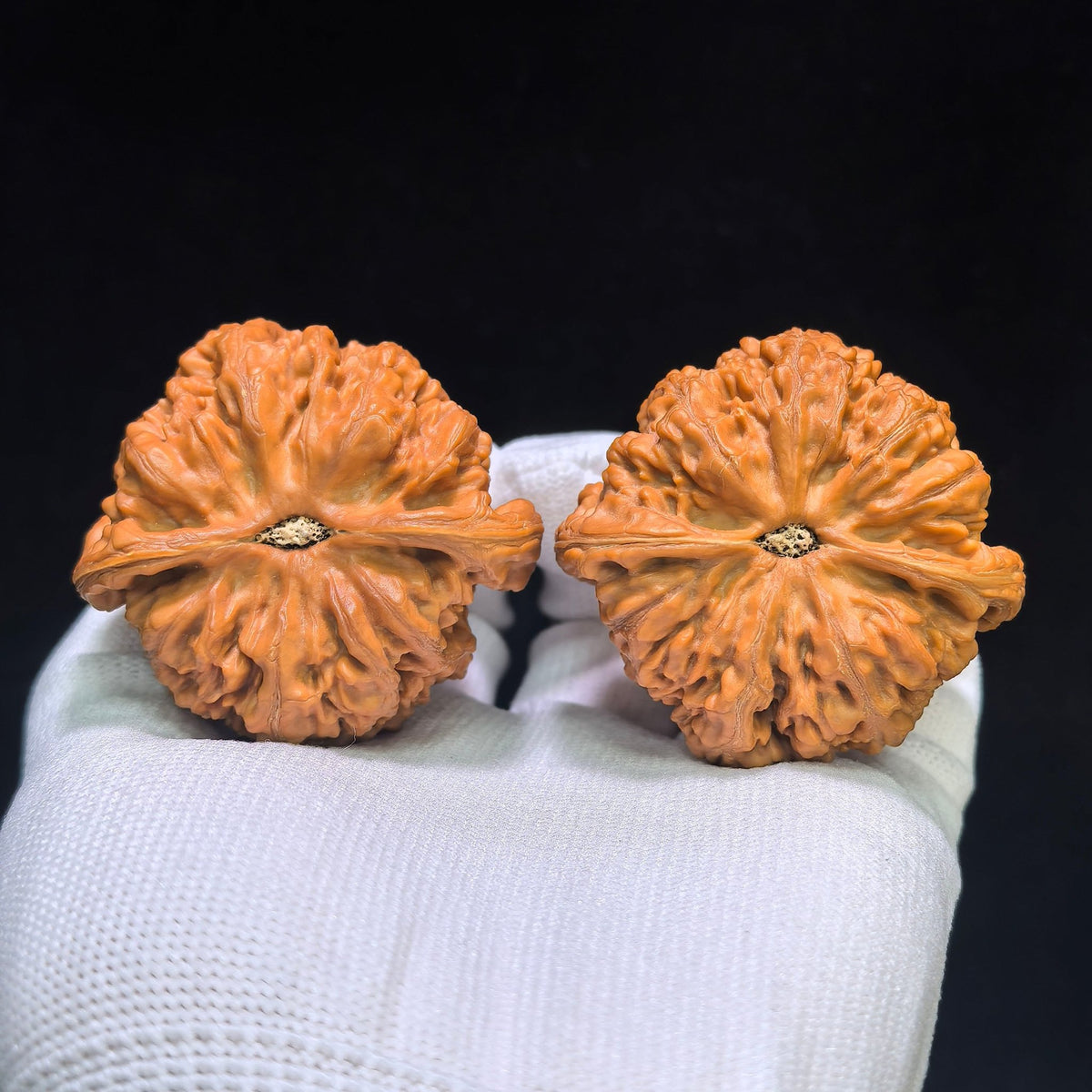 "Large Thick Rib" Dacujin Wenwan Walnuts Pair | 48.0mm x 47.0mm | DCJ-1551C - ThePatinaProject
