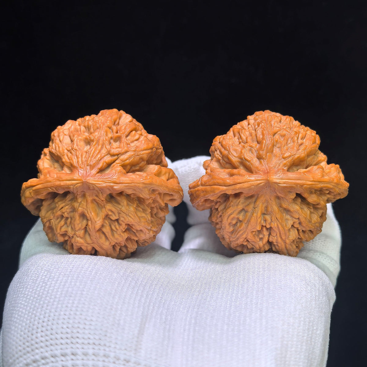 "Large Thick Rib" Dacujin Wenwan Walnuts Pair | 48.0mm x 47.0mm | DCJ-1551C - ThePatinaProject