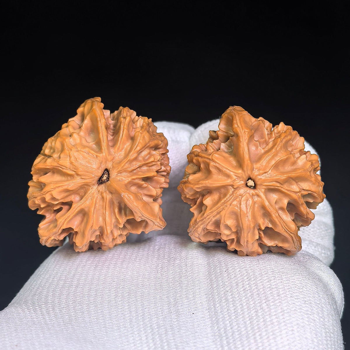 Li Xuechao Three-Ridge “Heart-to-Heart” Wenwan Walnut Pair — 40.0mm x 38.0mm | LXCSN-1401E - ThePatinaProject