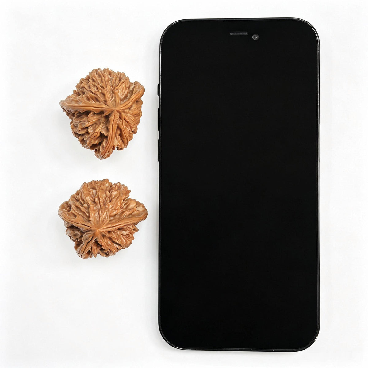 Li Xuechao Three-Ridge “Heart-to-Heart” Wenwan Walnut Pair — 40.0mm x 38.0mm | LXCSN-1401E - ThePatinaProject