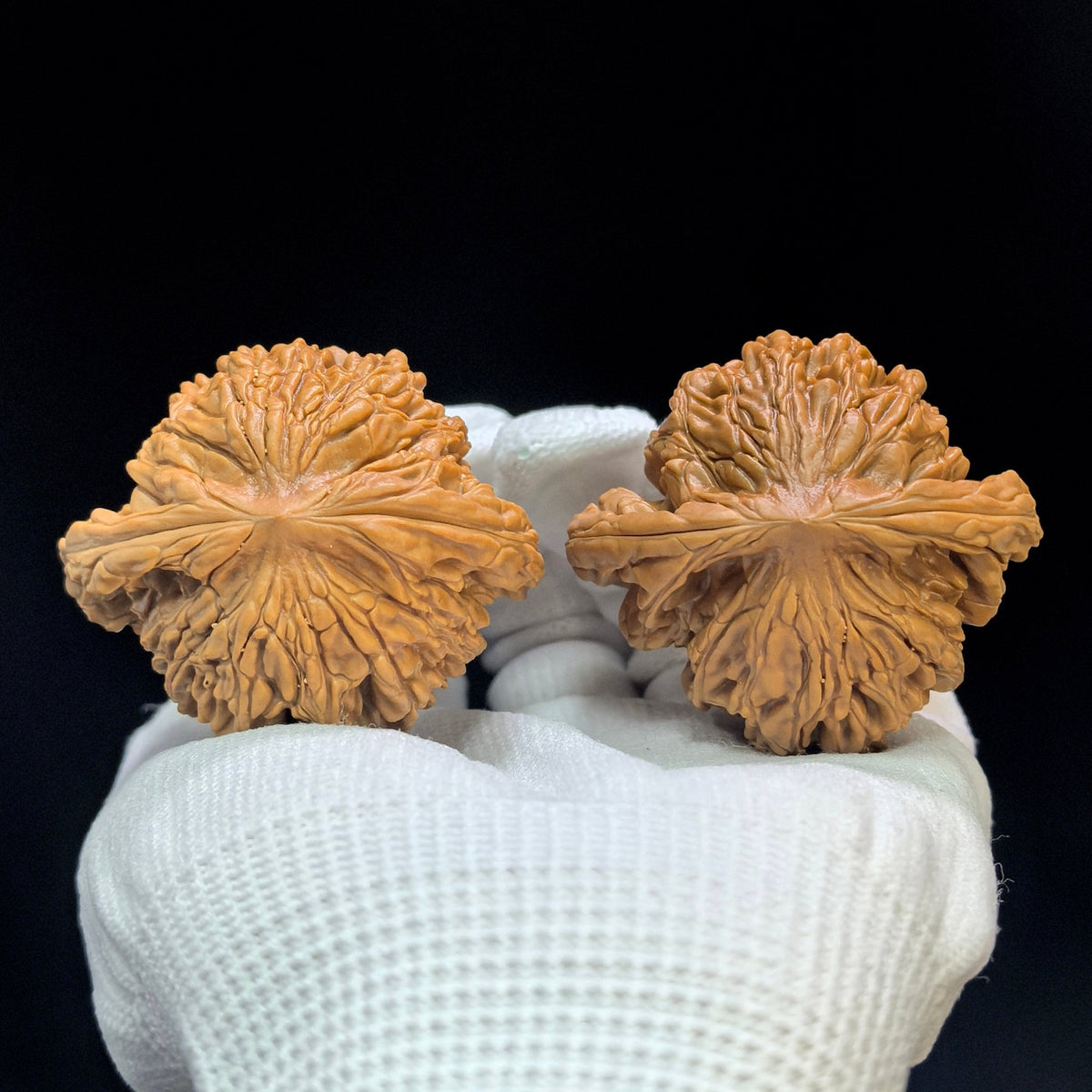 "Liger" Shihushou Low-Profile Wenwan Walnuts Pair | 49.0mm x 45.0mm | SFS-1501C - ThePatinaProject