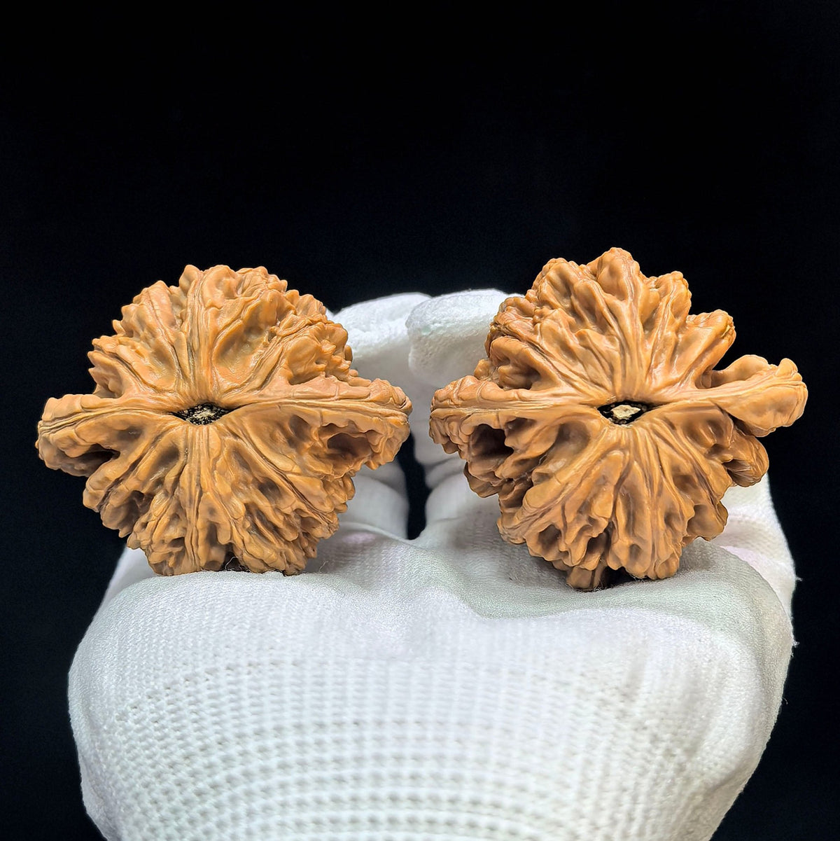"Liger" Shihushou Low-Profile Wenwan Walnuts Pair | 49.0mm x 45.0mm | SFS-1501C - ThePatinaProject