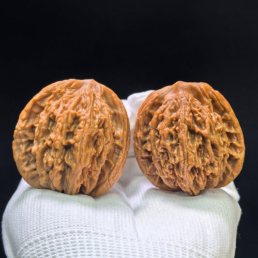 "Liger" Shihushou Wenwan Walnuts Pair | 40.0mm x 40.0mm | SHS-1101 - ThePatinaProject