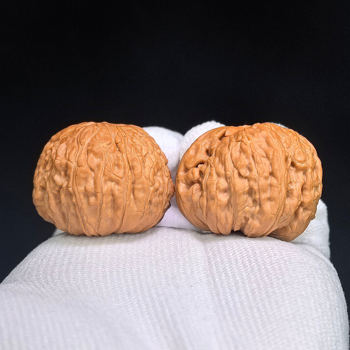 Lion Head “Turtle-Back” Wenwan Walnut Pair — 34.0mm x 37.0mm | FSST-1201E - ThePatinaProject
