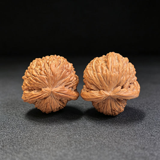Lion Head “Turtle-Back” Wenwan Walnut Pair — 34.0mm x 37.0mm | FSST-1201E - ThePatinaProject