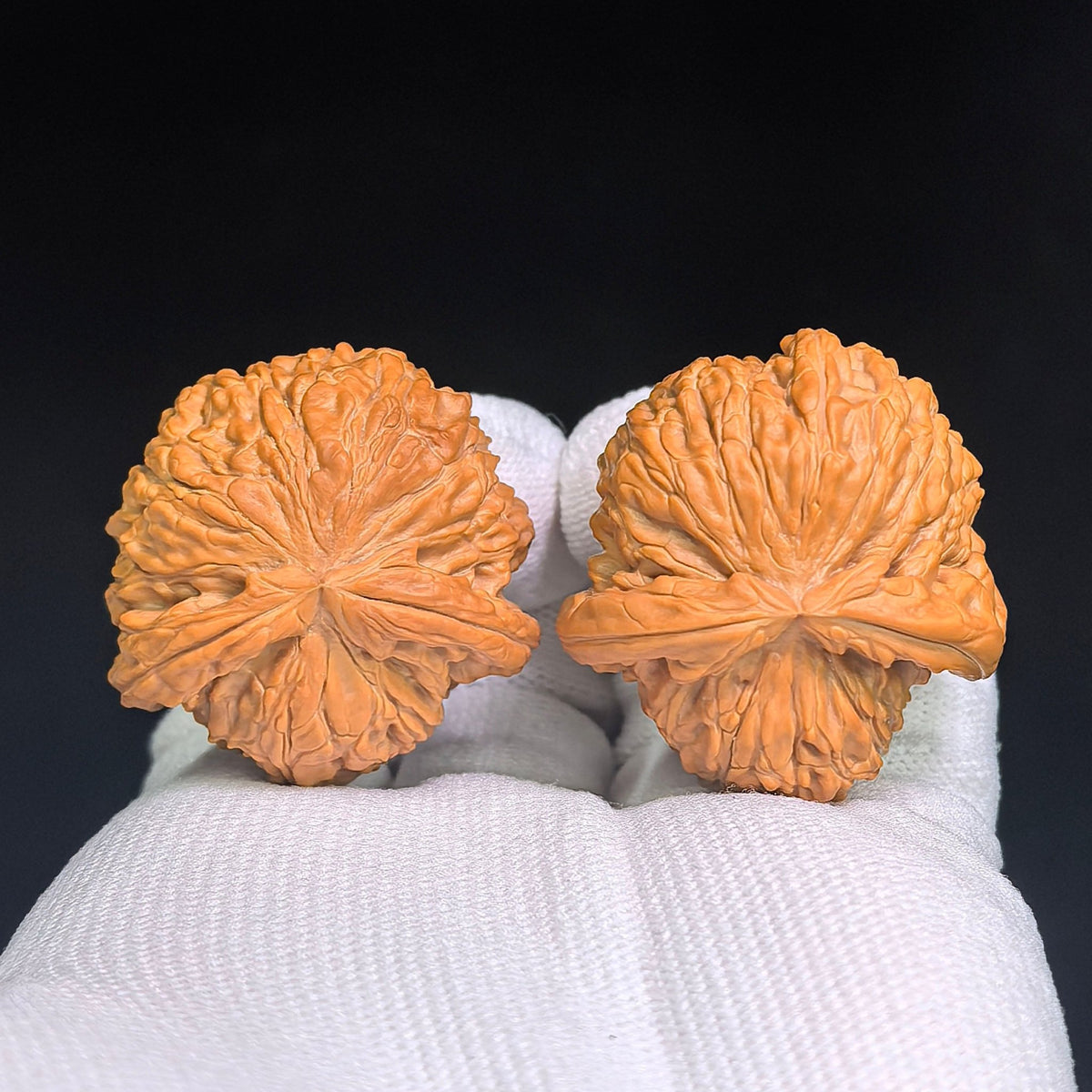 Lion Head “Turtle-Back” Wenwan Walnut Pair — 34.0mm x 37.0mm | FSST-1201E - ThePatinaProject