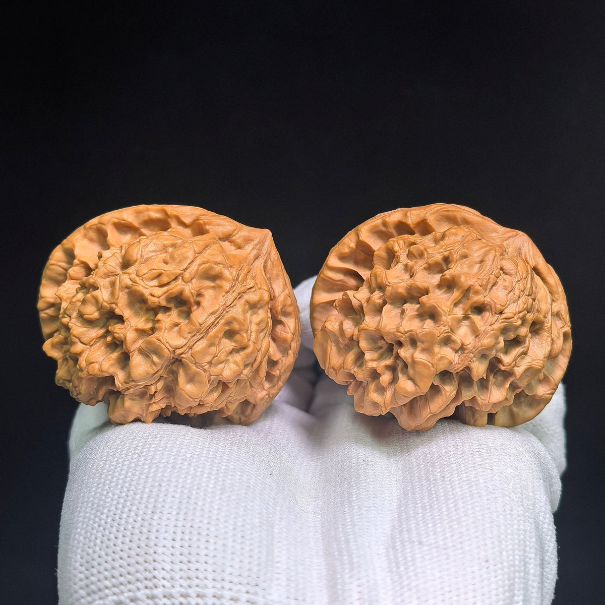 "Long Ding Tian Can Jiao / Dragon Tripod Crippled Foot" Heirloom Collection Wenwan Walnuts Pair | 50.0mm x 48.0mm | LDTC-C1C1E - ThePatinaProject