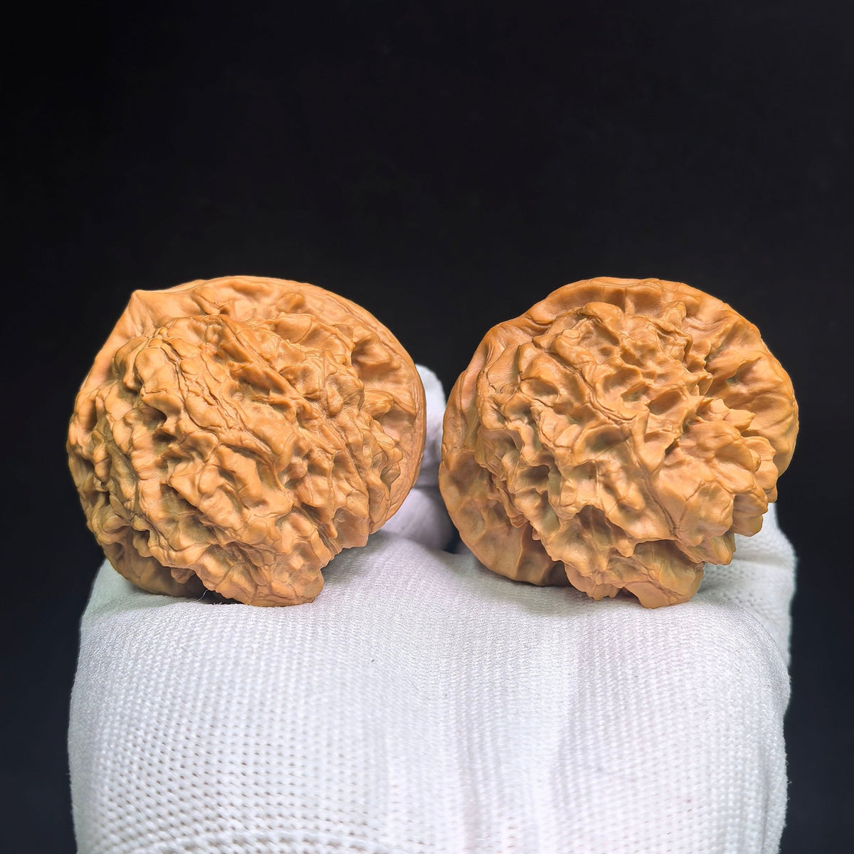 "Long Ding Tian Can Jiao / Dragon Tripod Crippled Foot" Heirloom Collection Wenwan Walnuts Pair | 50.0mm x 48.0mm | LDTC-C1C1E - ThePatinaProject