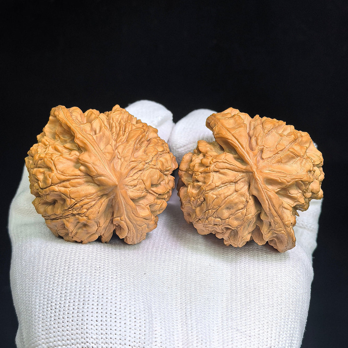 "Long Ding Tian Can Jiao / Dragon Tripod Crippled Foot" Heirloom Collection Wenwan Walnuts Pair | 50.0mm x 48.0mm | LDTC-C1C1E - ThePatinaProject