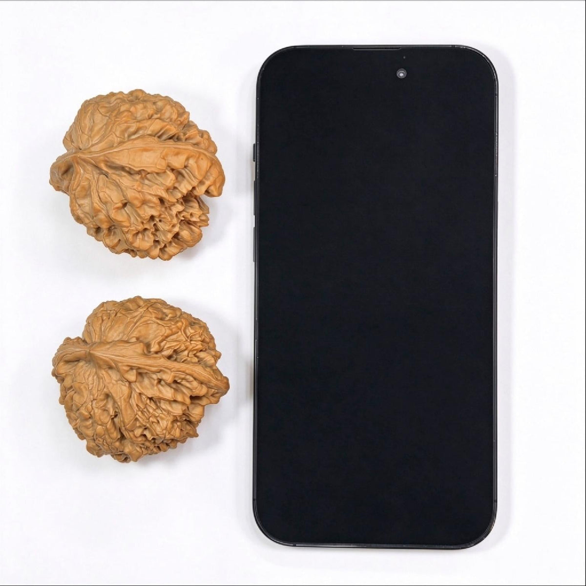 "Long Ding Tian Can Jiao / Dragon Tripod Crippled Foot" Heirloom Collection Wenwan Walnuts Pair | 50.0mm x 48.0mm | LDTC-C1C1E - ThePatinaProject