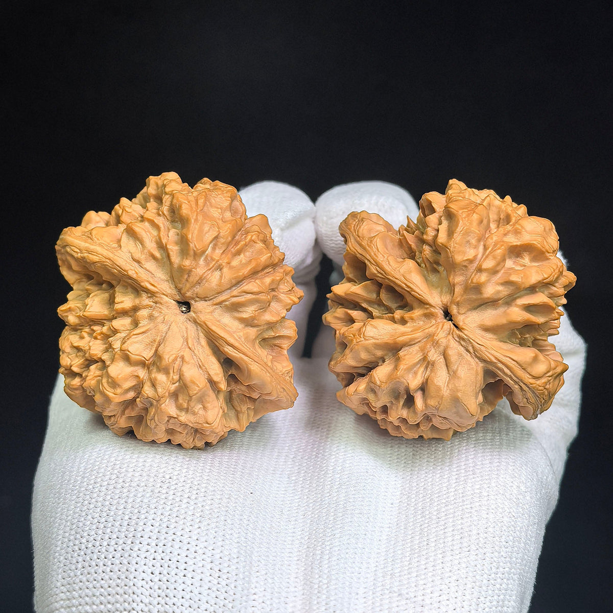 "Long Ding Tian Can Jiao / Dragon Tripod Crippled Foot" Heirloom Collection Wenwan Walnuts Pair | 50.0mm x 48.0mm | LDTC-C1C1E - ThePatinaProject