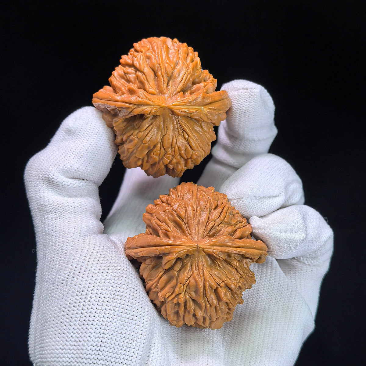 Low-Apex White Lion Head (Men Jian Bai Shi Zi) Scholar Walnuts Pair | Premium Select 45.0mm x 46.0mm | Classic Deep-Belly Format | Stock ID: BSJ-1303C - ThePatinaProject