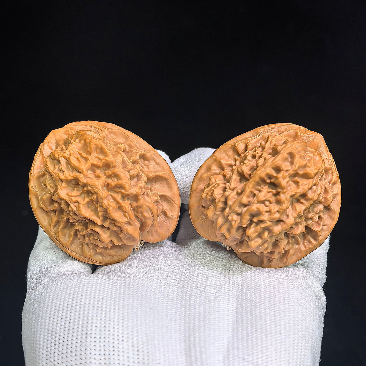 Luohantou Tiancanjiao Wenwan Walnuts Pair | Large Sculptural Irregular Form | 47.0mm × 44.0mm | LHTC-C1D9E - ThePatinaProject