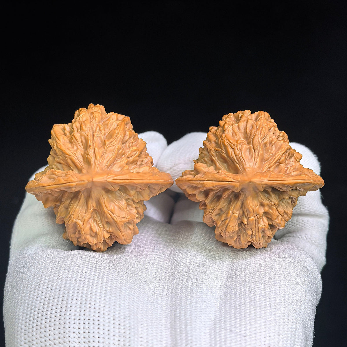 Luohantou Tiancanjiao Wenwan Walnuts Pair | Large Sculptural Irregular Form | 47.0mm × 44.0mm | LHTC-C1D9E - ThePatinaProject