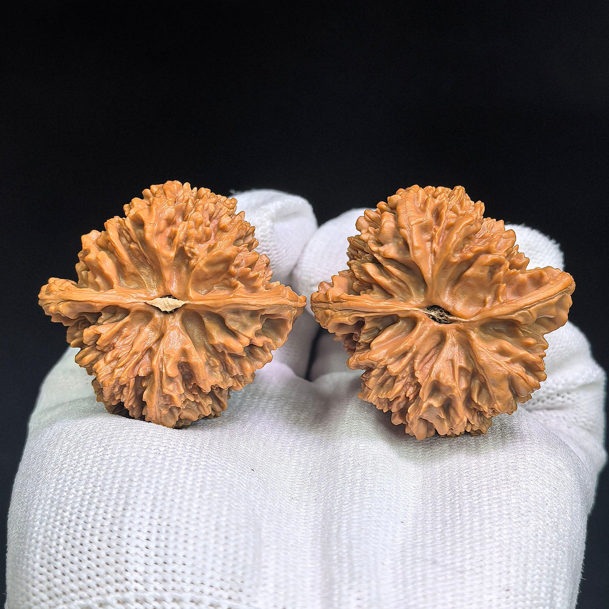 "Man Tian Xing Tian Can Jiao / Starry Night Footed Base" Heirloom Collection Wenwan Walnuts Pair | 43.0mm x 41.0mm | MXTC-C1C8E - ThePatinaProject