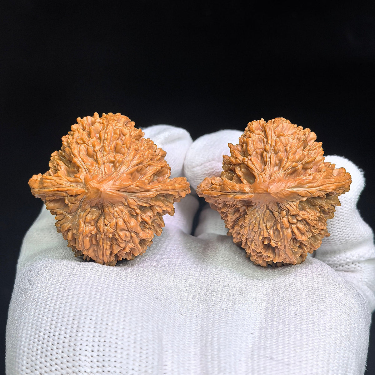 "Man Tian Xing Tian Can Jiao / Starry Night Footed Base" Heirloom Collection Wenwan Walnuts Pair | 43.0mm x 41.0mm | MXTC-C1C8E - ThePatinaProject