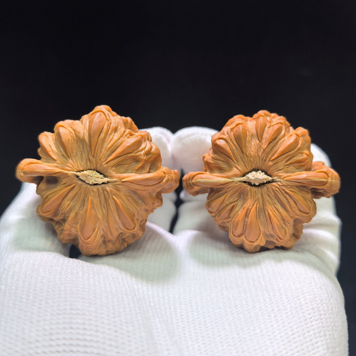 Master Li Fengguang Hand-Carved "Devouring Lion" White Lion Head (Bai Shi Zi) Scholar Walnuts Pair | Grand 44.0mm x 41.0mm | Ultimate Collector Grade Masterpiece | Stock ID: BSZTSDK-CG213E - ThePatinaProject