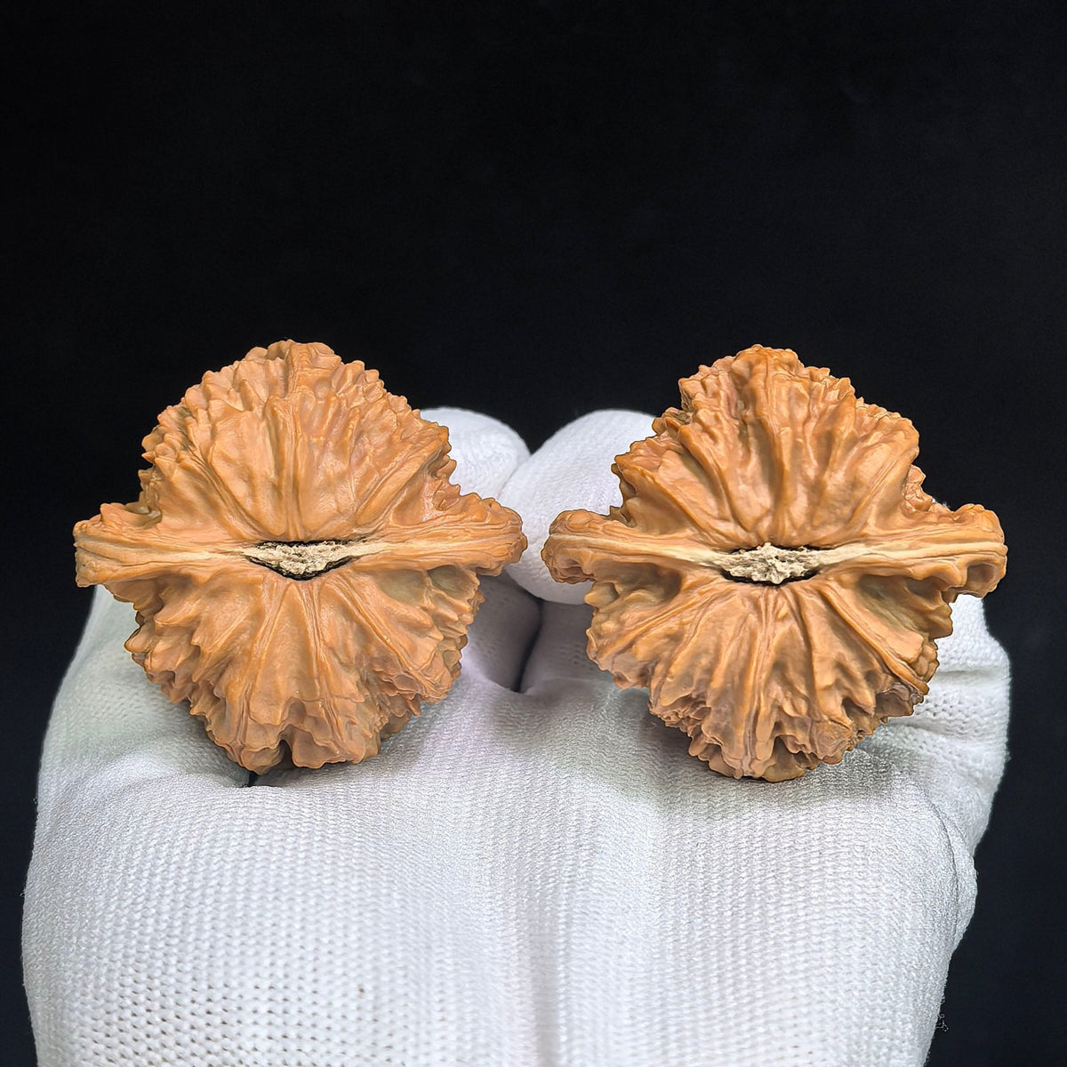"Men Jian Bai Shi Zi / Flat-Tip White Lion" Heirloom Collection Wenwan Walnuts Pair | 46.0mm x 44.0mm | MJBSZ-1001 - ThePatinaProject