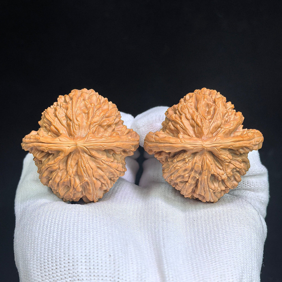 "Men Jian Bai Shi Zi / Flat-Tip White Lion" Heirloom Collection Wenwan Walnuts Pair | 46.0mm x 44.0mm | MJBSZ-1001 - ThePatinaProject