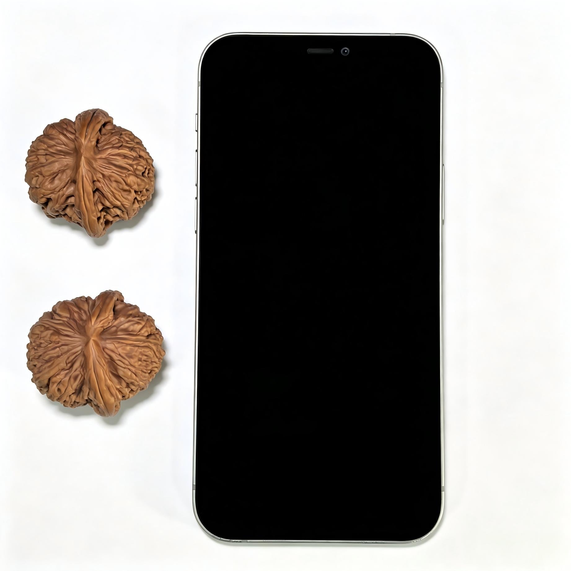 "Meteorite Ingot" Yuanshi Yuanbao Low-Profile Wenwan Walnuts Pair | 36.0mm x 36.0mm | YSYB-1102 - ThePatinaProject
