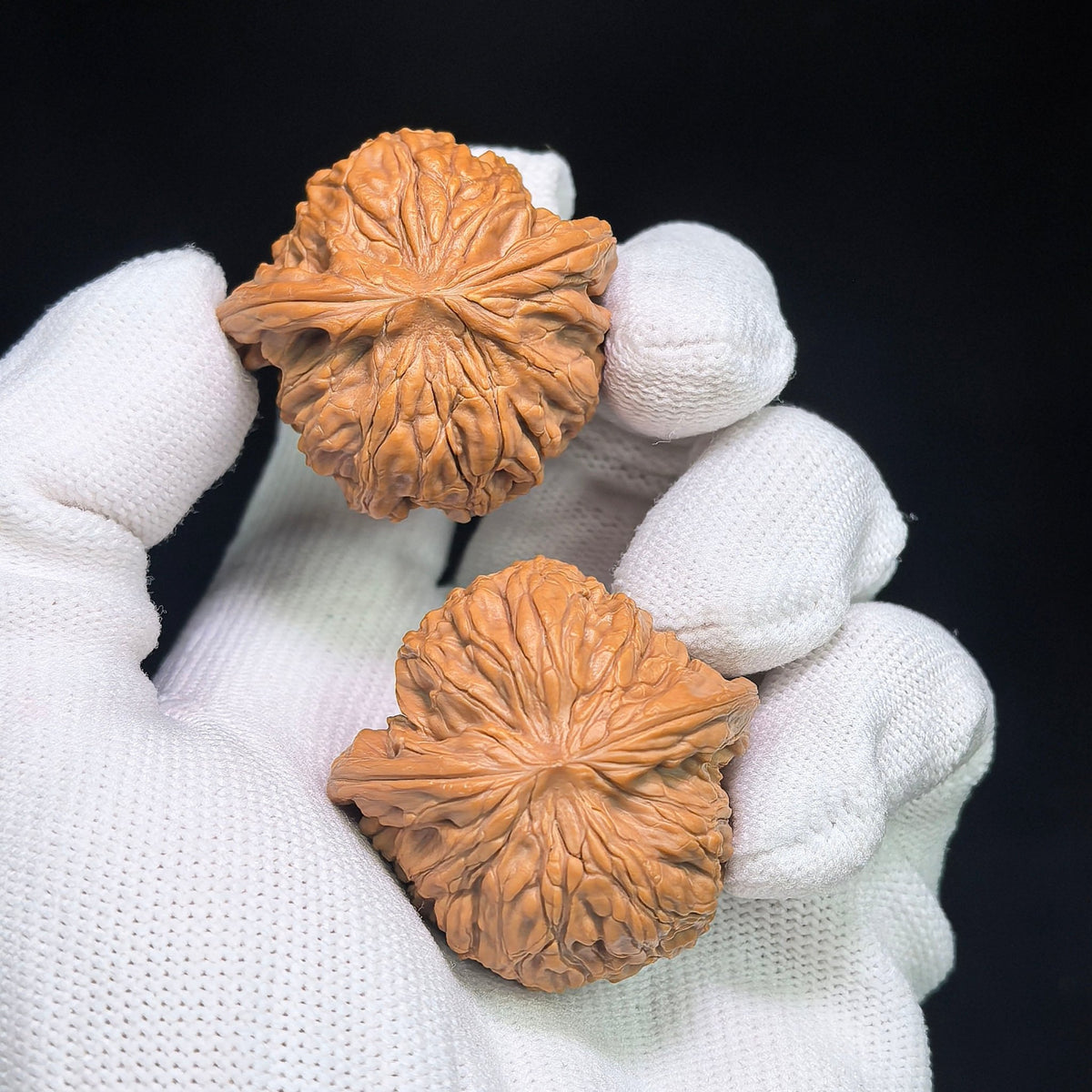 Millstone “Flying Snake” Collector-Grade Wenwan Walnut Pair — 37.0mm x 36.0mm | MOFS-1201E - ThePatinaProject