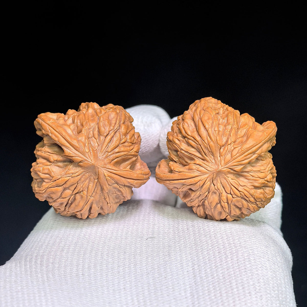 Millstone “Flying Snake” Collector-Grade Wenwan Walnut Pair — 37.0mm x 36.0mm | MOFS-1201E - ThePatinaProject