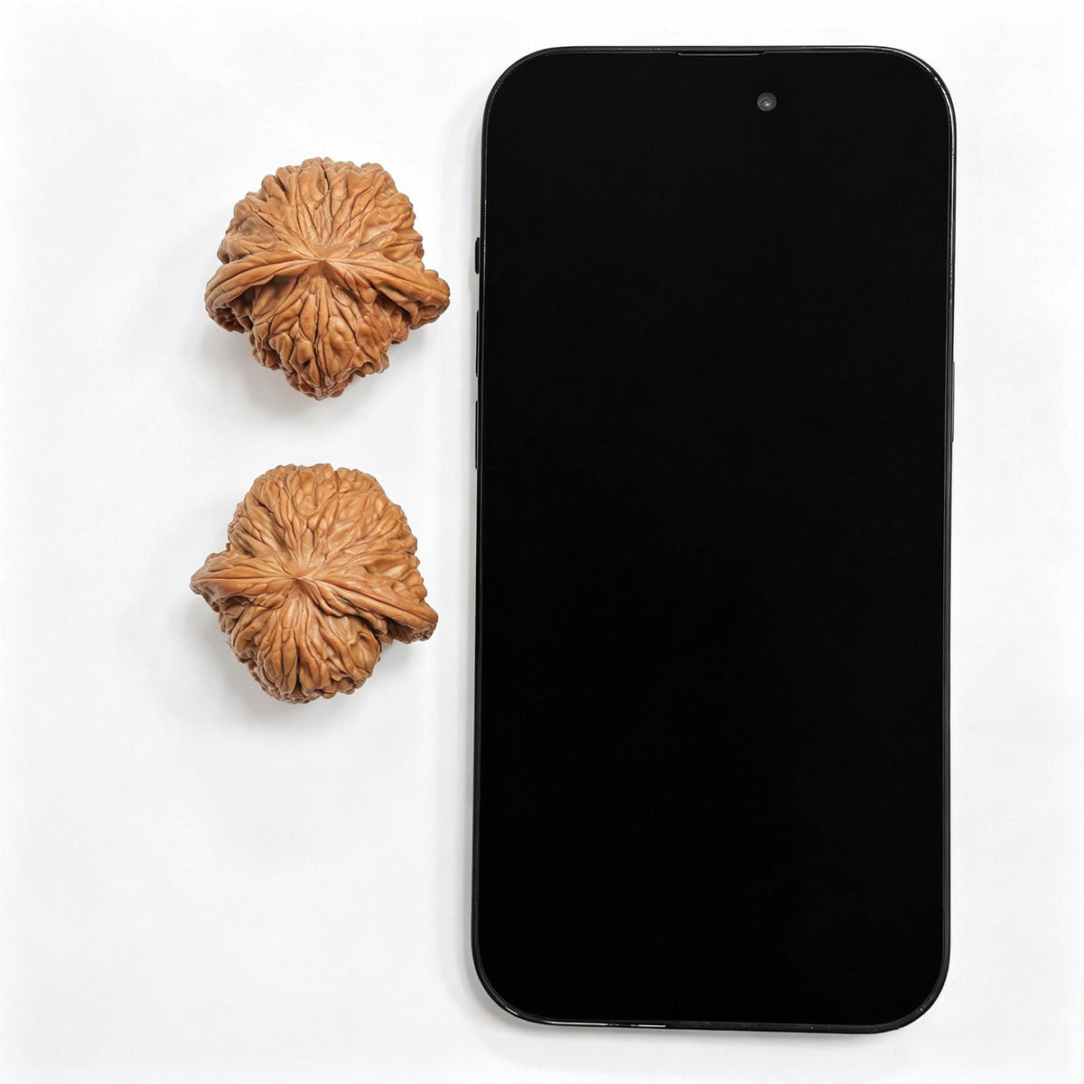 Millstone “Flying Snake” Collector-Grade Wenwan Walnut Pair — 37.0mm x 36.0mm | MOFS-1201E - ThePatinaProject
