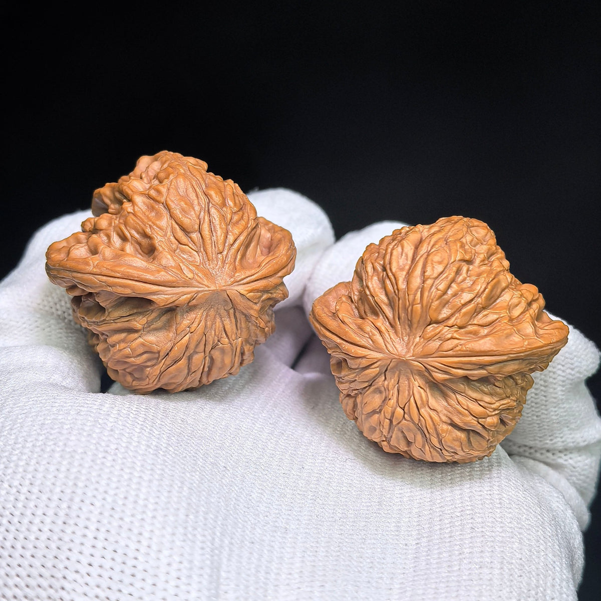 Millstone “Flying Snake” Collector-Grade Wenwan Walnut Pair — 37.0mm x 36.0mm | MOFS-1201E - ThePatinaProject