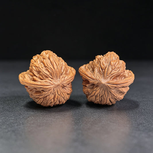 Millstone “Flying Snake” Collector-Grade Wenwan Walnut Pair — 37.0mm x 36.0mm | MOFS-1201E - ThePatinaProject