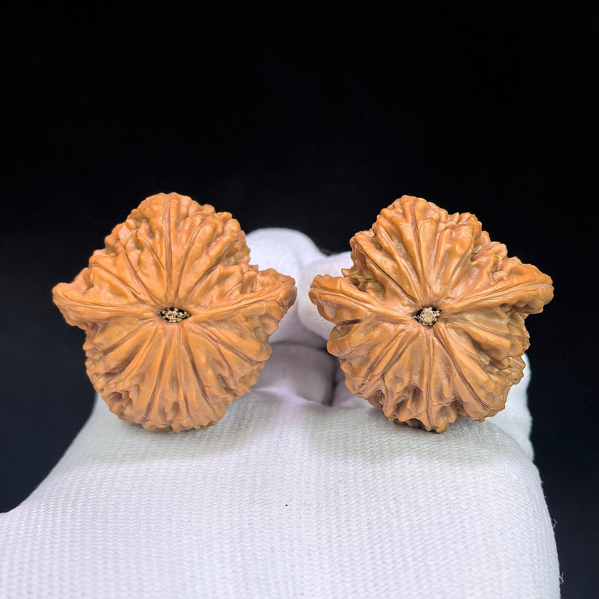 Millstone “Flying Snake” Collector-Grade Wenwan Walnut Pair — 37.0mm x 36.0mm | MOFS-1201E - ThePatinaProject