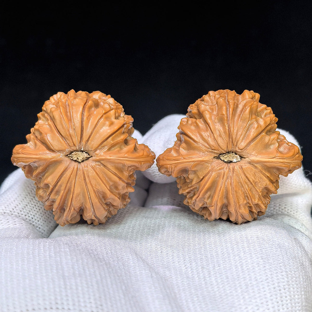 "Millstone" Mopan MB-17F4 Low-Profile Wenwan Walnuts Pair | 40.0mm x 37.0mm | MB-17F4 - ThePatinaProject