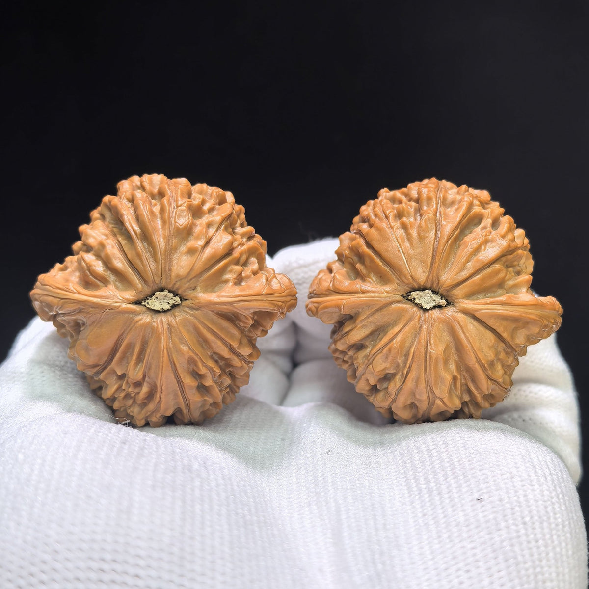 "Millstone" Mopan Wenwan Walnuts Pair | 40.0mm x 40.0mm | MP-01SY - ThePatinaProject