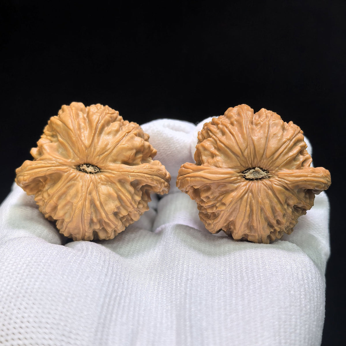 "Millstone" Mopan Wenwan Walnuts Pair | 42.0mm x 39.0mm | MP-1501C - ThePatinaProject